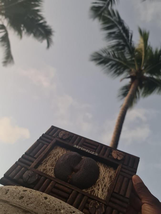 Ocean Jewels Hotel Grand' Anse Buitenkant foto